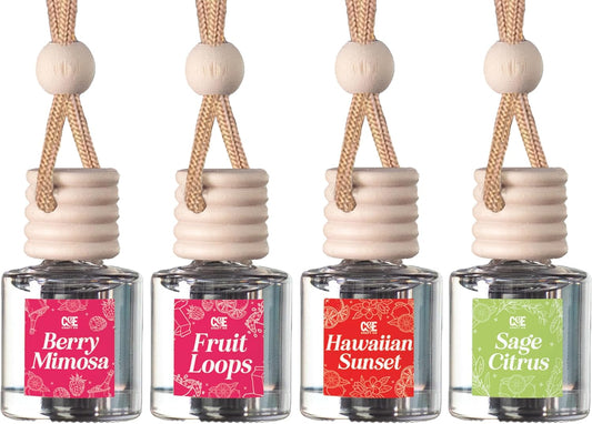 Fruity 4 Pack Car Air Hanging Fragrance Oil Diffuser – Car Air Freshener Diffuser for Essential Oils, Scents Fragrance Aromatherapy Automobile Diffuser, Long Lasting